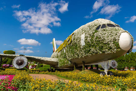 Passenger plane made of flowers