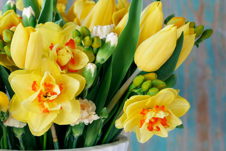 Bouquet of daffodils and tulips