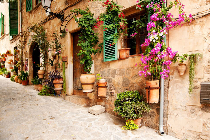 Street with flowers