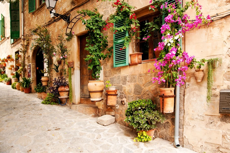 花のある通り