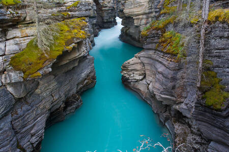 Aguas en las cataratas de Athabasca