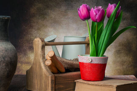 Тюльпаны и садовый инвентарь