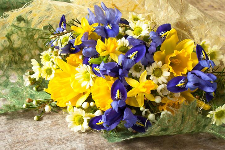 Bouquet de jonquilles, iris et chrysanthèmes