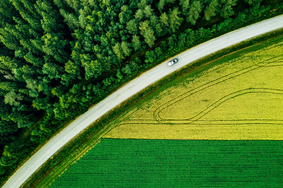 Šuma, cesta i polja