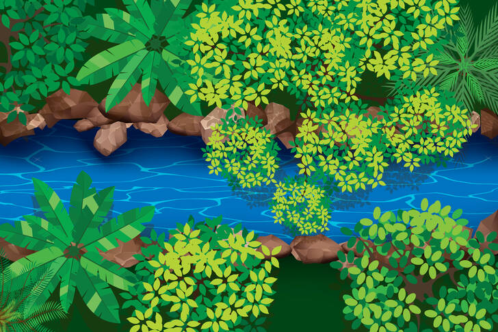 Река в джунглата