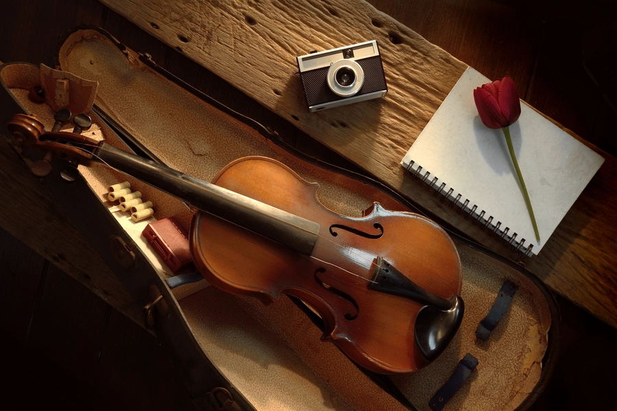 Violina u koferu