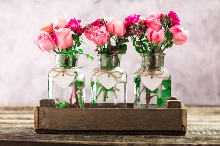 Rosas en jarrones de cristal.