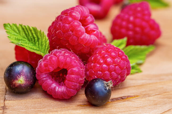 Close-up of raspberries and currants