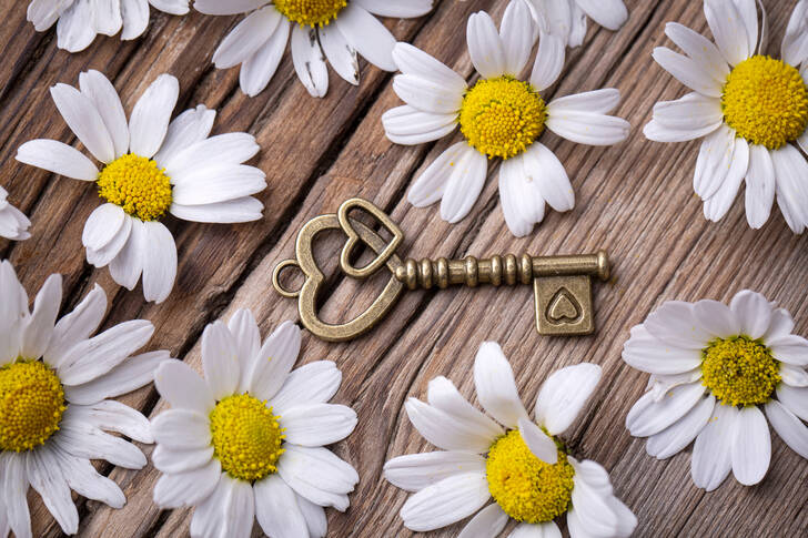 Key with heart and daisies