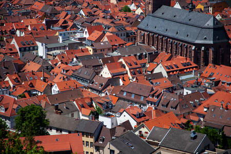 Marburg'un Çatıları