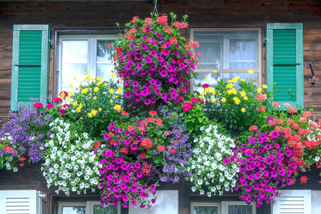 Fachada con flores en las ventanas