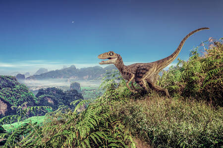 Velosiraptor