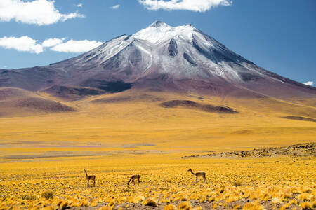The famous Atacama Desert