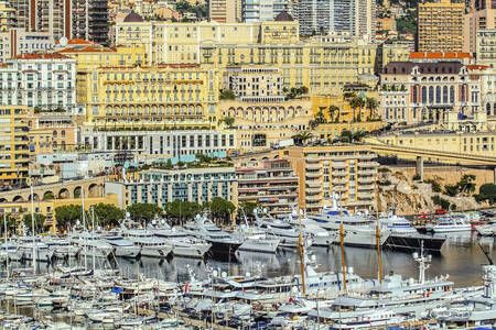 Monte Carlo area