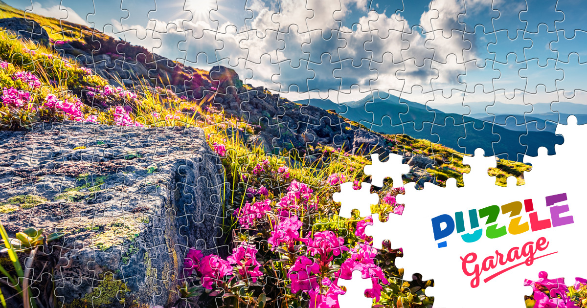 Summer view of the Carpathian mountains Jigsaw Puzzle (Countries ...