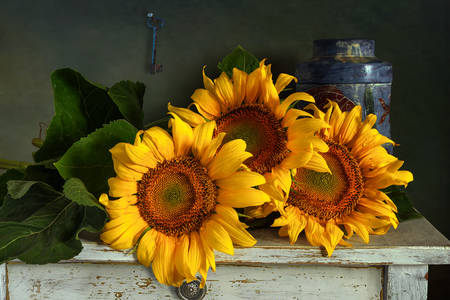 Sonnenblumen auf dem Tisch