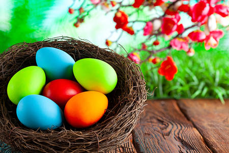 Huevos de Pascua en el nido.