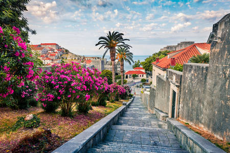 Straten van Dubrovnik