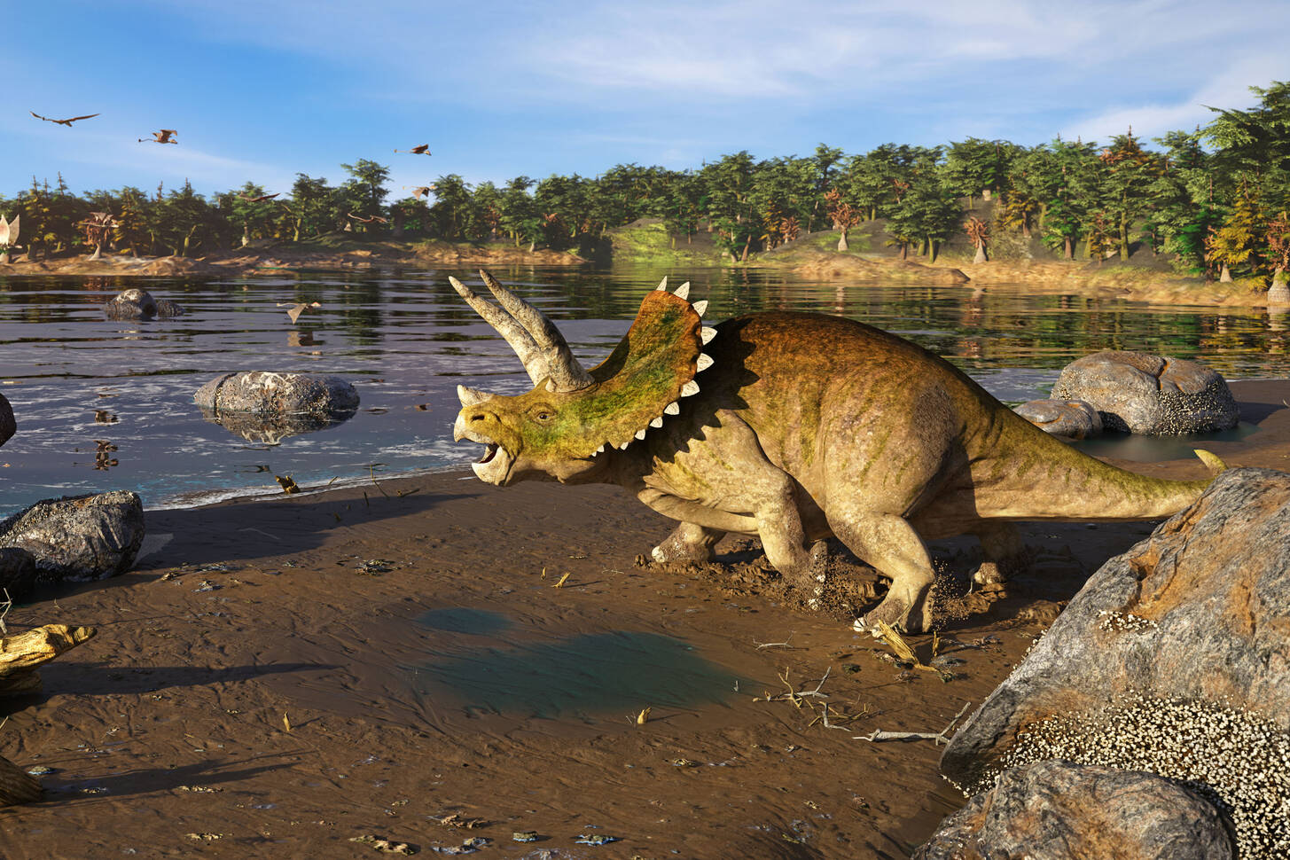 Triceratops by the river Jigsaw Puzzle (Animals, Prehistoric animals ...