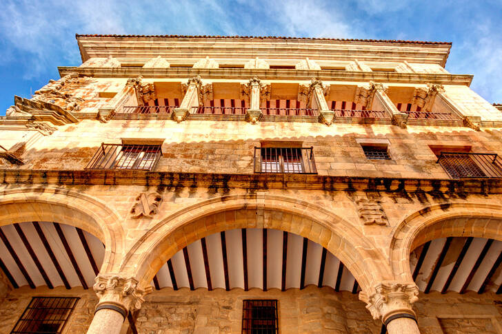 Palace of San Carlos, Trujillo