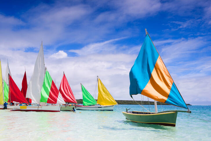 Barci cu pânze colorate