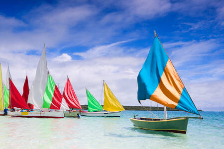 Colorful sailboats