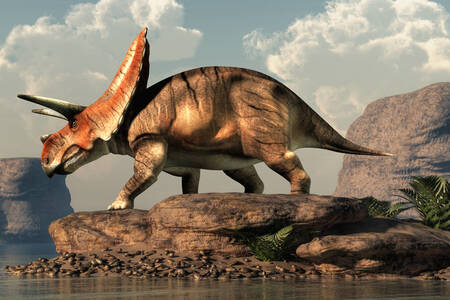 Torosaurus på stenen