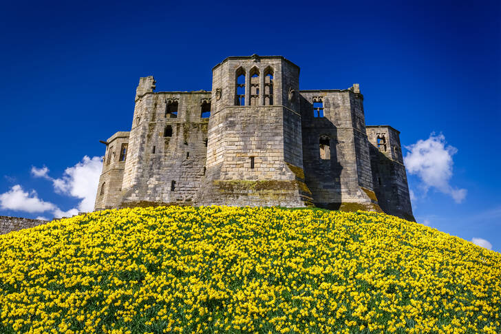 Замок Уоркуэрт, Великобритания