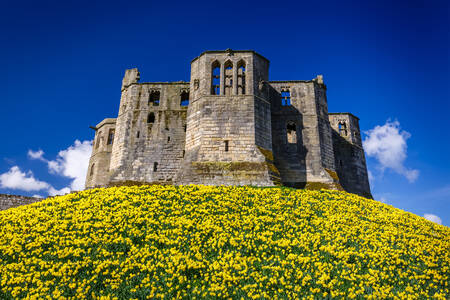 Castillo de Warkworth, Reino Unido
