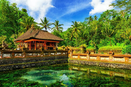 Tirta Empul tempelområde, Bali