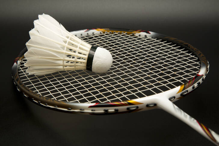Raqueta de bádminton y volante
