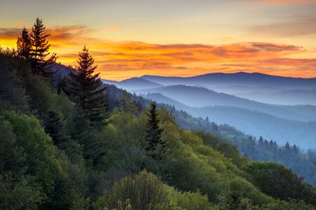 Taman Nasional Great Smoky Mountains