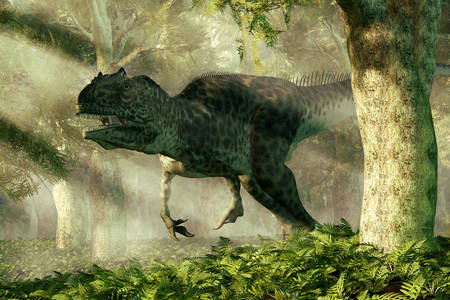 Allosaurus in the forest