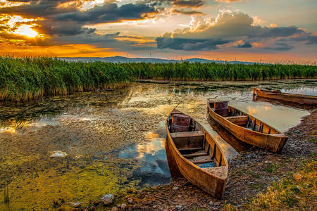 Swamp Lake Karamyk