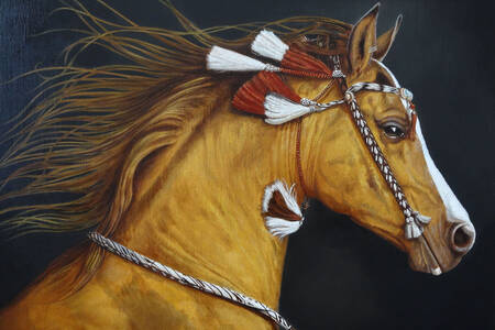 Häst porträtt