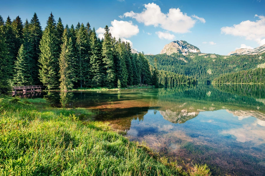 Lago negro en montenegro