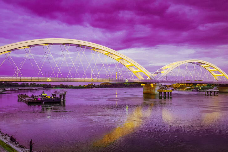 Most Žeželj, Nowy Sad