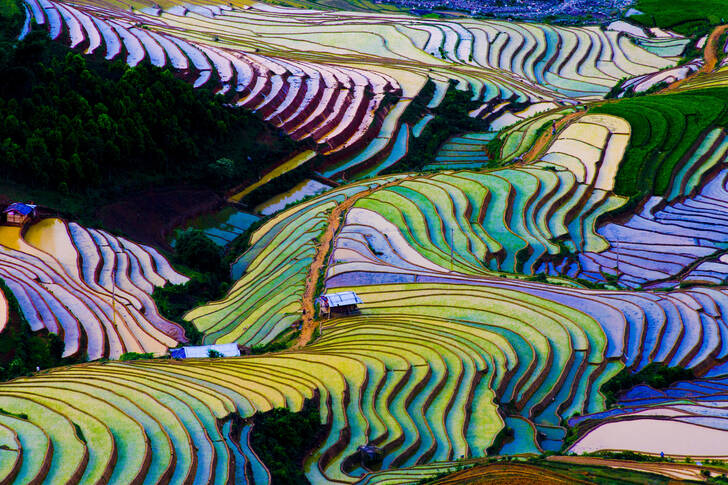 Terrasvormige velden in Vietnam