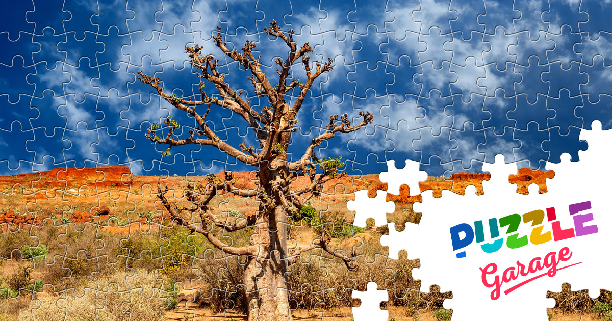 Dry tree in savannah Jigsaw Puzzle (Countries, South Africa) Puzzle