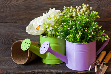 Gardening tools and flowers in watering cans