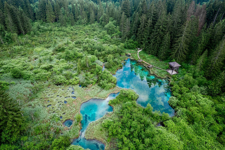 Rezervația naturală Zelentsy din Slovenia