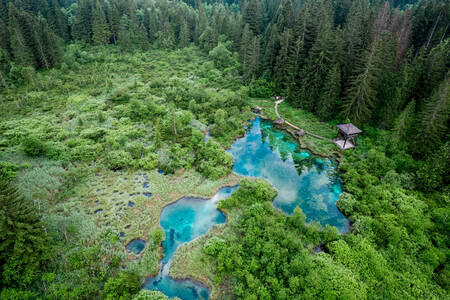 Slovenya'daki Zelentsy Doğa Koruma Alanı