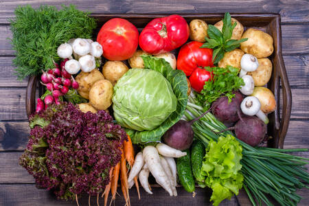 Hierbas y verduras en una bandeja