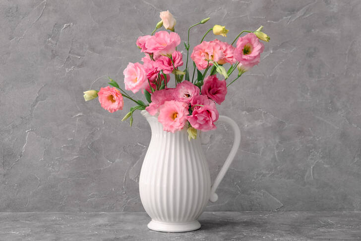 Pink eustomas in a vase