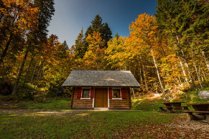 Cabana na floresta de outono