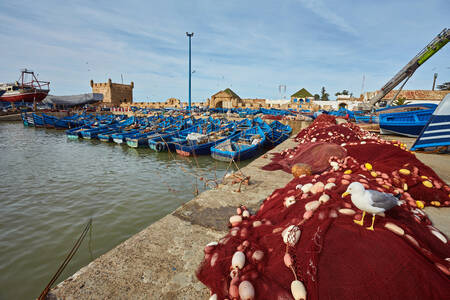 Old Port of Essaouira