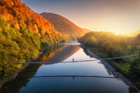 Bridge over the river