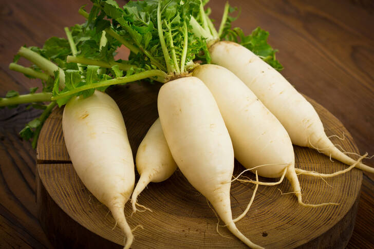 White radish