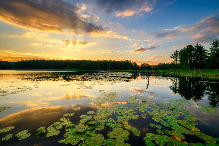 Summer sunset over the lake
