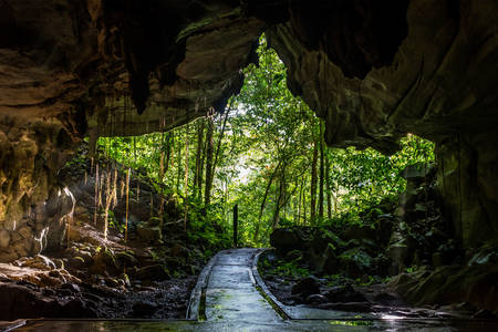 Cave in Mulu National Park